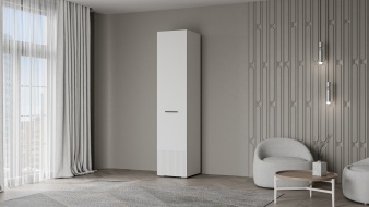 Шкаф распашной Декарт 1 BMS