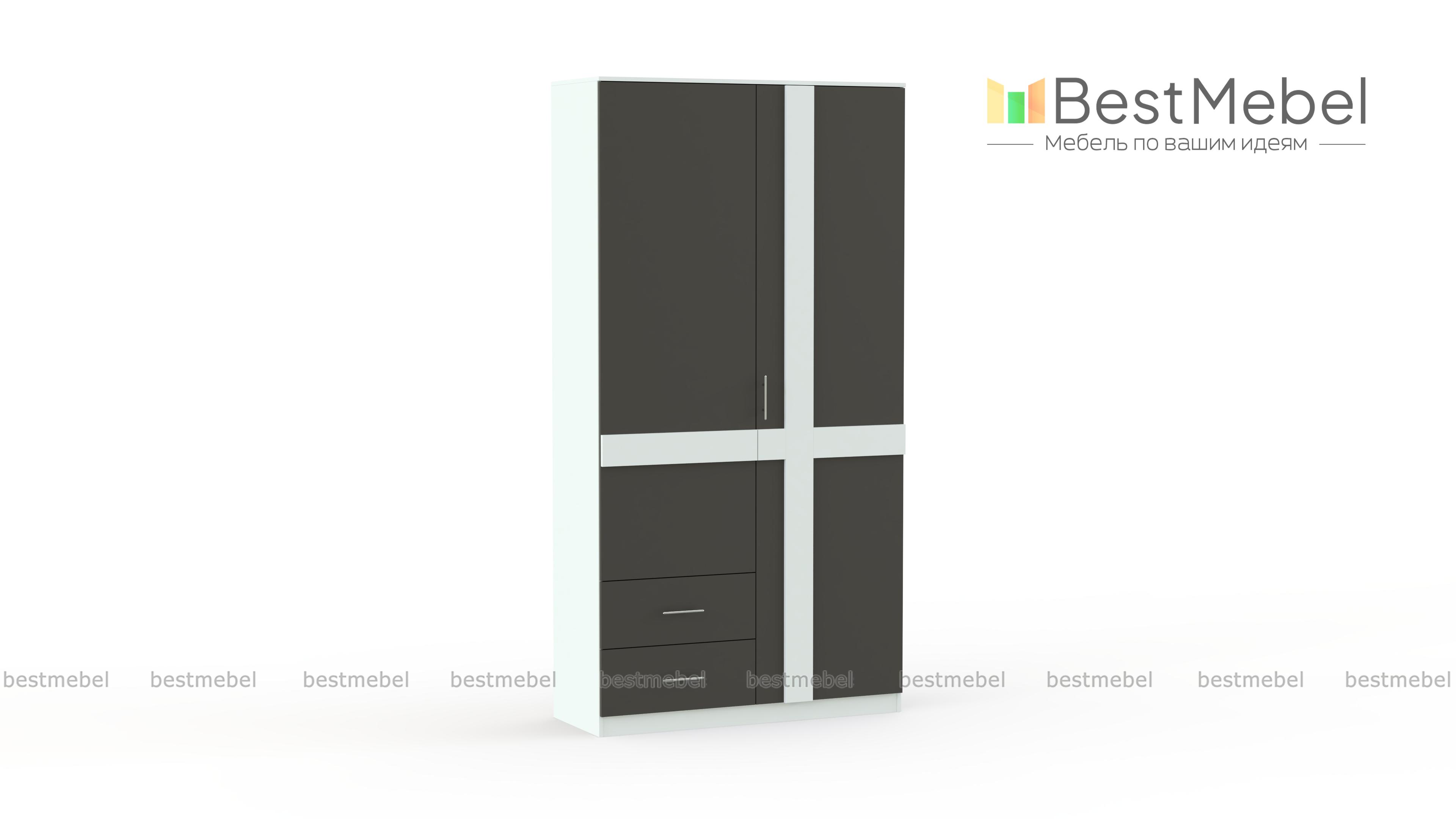 Распашной шкаф Зоя 1 BMS - Фото