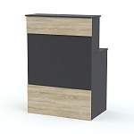 Ресепшен Рейна №1 BMS - Фото 6