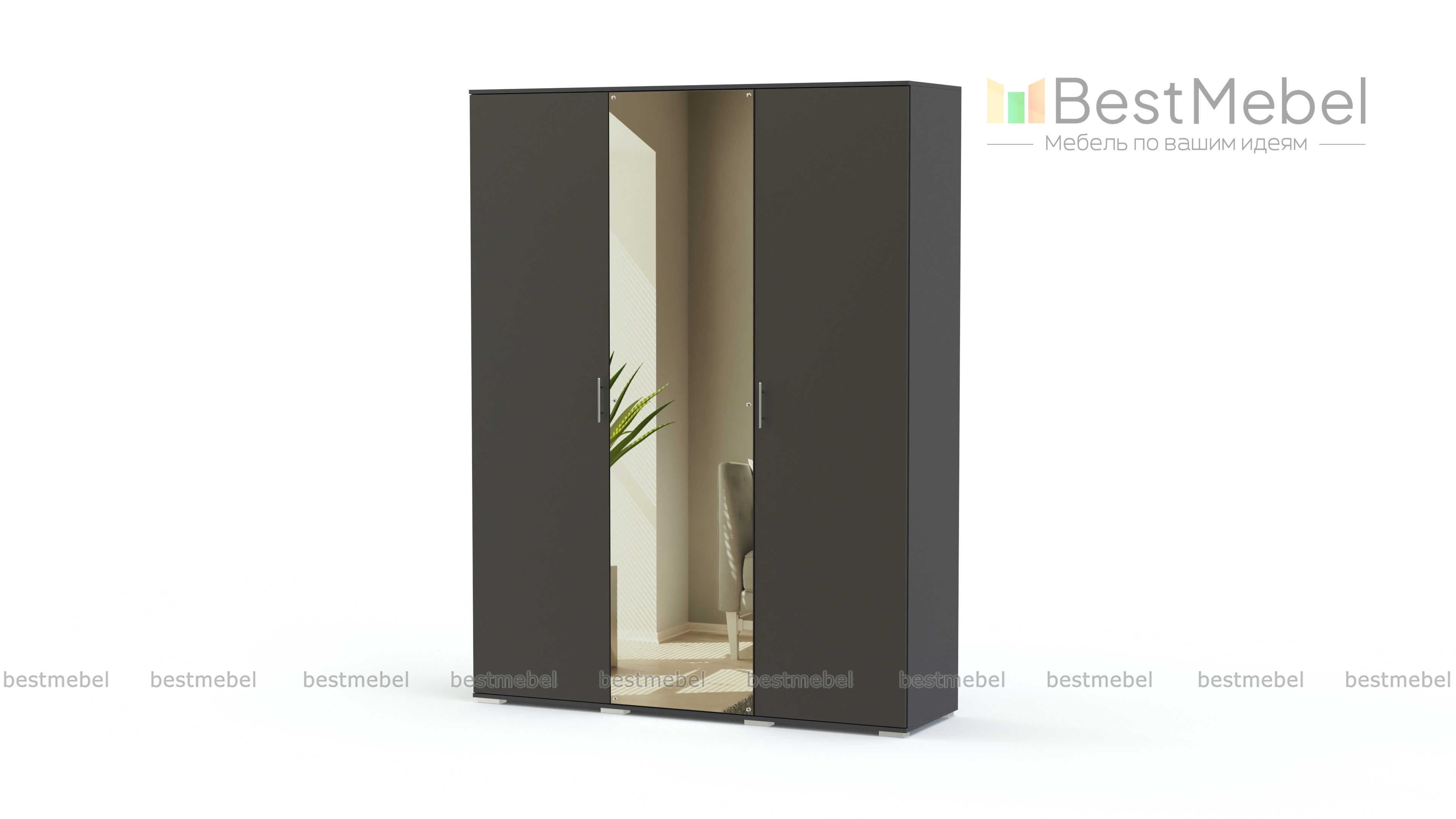 Распашной шкаф Альма 11 BMS